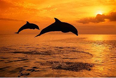 《上古卷轴4：湮灭重制版》主机版有大问题 游玩时间越长性能越差