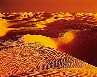 《战意》登陆2024高能电玩节，全球服务器集结！